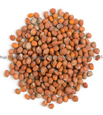 kr-Radish Seed/Mula Dana (मुलाको दाना) 500g